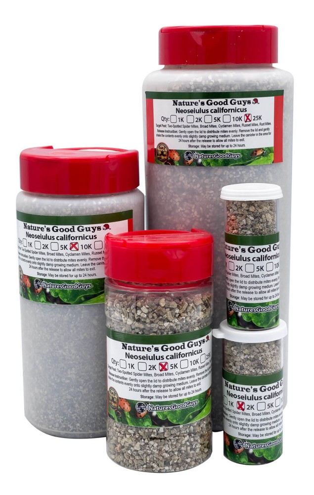 NaturesGoodGuys – Neoseiulus californicus – Predatory Spider Mite Control