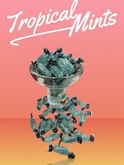 Candy-Tropical Mints (KSL) Perfect gift Idea Meal after Candy 500g