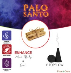 Palo Santo Charcoal Incense Cones 1″ TOPFLOW Bulk Wholesale For Burner Holder