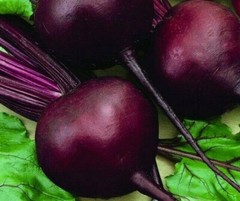 BEET SEEDS 100+ DETROIT DARK RED survival GARDEN healthy VEGETABLE FREE SHIPPING
