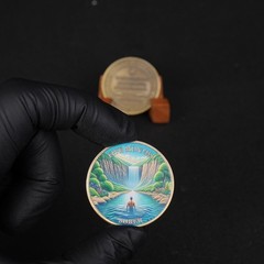 1-12 Months Sobriety Coin – AA Chip Sober Medallion and Prayer in Recovery