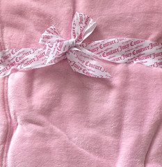 Juicy Couture Pink, Super Soft, Easy Care, Oversized Plush Throw, 50 x 70 inch