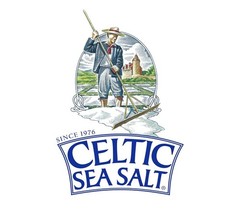 Celtic Sea Salt Fine Ground 1 lb x3 Natural Unrefined Mineral Bulk Pack