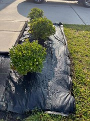 Heavy Duty Landscape Fabric 3.5 oz, Weed Barrier Garden Mat, Different Sizes
