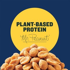 PLANTERS Honey Roasted Peanuts, Dry 16 Ounce (Pack of 1)