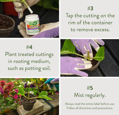 Garden Safe TakeRoot Rooting Hormone 2PACK Powder for Plant Cuttings & New Roots
