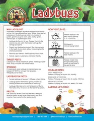 3,000 Live Ladybugs – Guaranteed Live Delivery! (2 x 1,500)