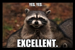 YES, YES… EXCELLENT motivated raccoon bandit outside animal weird freak MAGNET