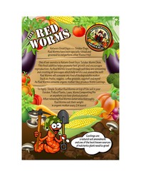 NaturesGoodGuys Live Red Worms 600 Adults – Red Wigglers