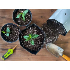 Ocean Forest 40 Lbs. 6.3-6.8 Ph Plant Garden Outdoor Potting Soil Mix Gardening