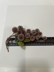 Vintage Sugared Beaded Red Faux Grapes 3 Bundles 7” MCM Glitter Green Leaves