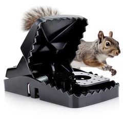 eXuby Squirrel Trap (2 pack) – Powerful Spring – 96% Instant Kill -Easy Setup