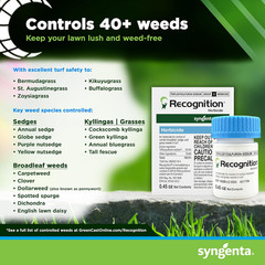 Recognition Herbicide Controls Over 40 Weeds 0.45 oz by Syngenta