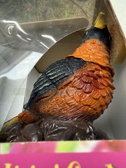 Vintage Gemmy Animated Robin Realistic Chirps & Sings “Rockin Robin” 6.5in