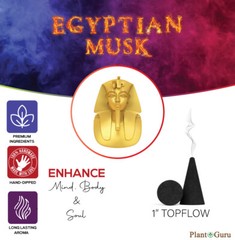 Egyptian Musk Charcoal Incense Cones 1″ TOPFLOW Bulk Wholesale For Burner Holder