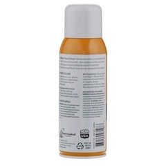 2-Pack OdoBan Real Citrus Orange Air Freshener 360 Continuous Spray, 10 Oz