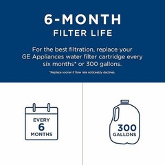 For GE RPWFE Refrigerator Filter Replacement Cartridge GE Efficient Performance
