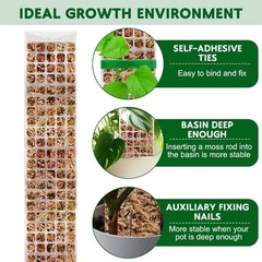 4PCS Plastic Moss Poles for Climbing Plants 24 inch Indoor Plant Support Stakes