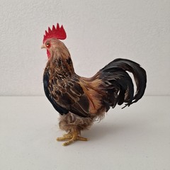 9.5″ Vintage Artificial Natural Feathered Decorative Rooster Rustic Farm Decor