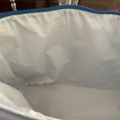 Trader Joe’s Insulated Cooler Tote Bag Pasadena CA Reusable Grocery Blue