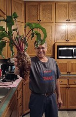 200 Plus Cylindra Beet Seeds-NON GMO-Open Pollinated-Organic