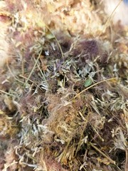 Dried Silk Mimosa Tree Fragarant Pink Flowers Tea Tincture Albizia Julibrissin