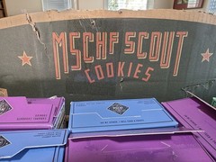 x3 Treasury Mints (Thin Mints) – MSCHF Girl Scout Cookies