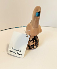 VTG Hand Craved Vegetable Ivory Toucan From the Fruit of the Tagua Tree Ecuador