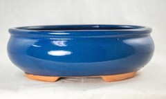Yubonzai Oval Glazed Bonsai / Cactus & Succulent Pot + Mesh – 10″x 7.75″x 3.25″