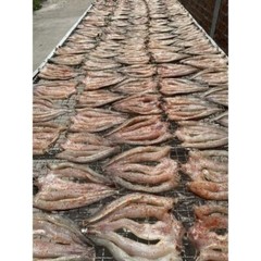 Kho Ca Loc Dong Dong Thap 500 Grams – Sealed Dried Snakehead Fish Very Delicious