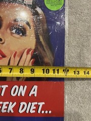 I Went On A Two Week Diet…And All I Lost was 14 Days! 12″ x 15″ Metal Sign