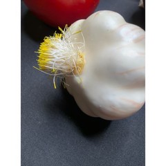 Vintage Decorative Faux Fruit Vegetable Lot 10 Apple Banana Avocado Pepper Onion