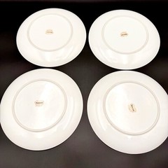 Norcrest AUTUMN BREEZE 10.25” Dinner Plates SET/4 Porcelain Silver Rim VTG Japan