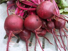 200+ DETROIT DARK RED BEET SEEDSNO TRACKING ON ORDERS UNDER $16