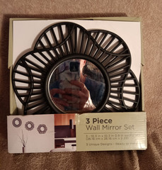 Willow Springs Round 11 R11 3pc Round Wall Mirror Set 10.3in Black Framed