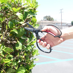 Senkichi SGFP-4 Pruning Shears, 235mm Long Blade Made in Japan – US Stock