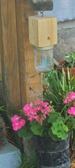 Set of 4 handmade carpenter bee traps 4 for 40 free shipping !!