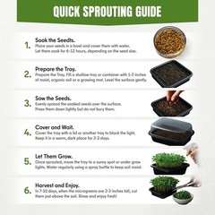 Microgreens & Sprouting Seeds Variety Pack, 10 Varieties, Non-GMO, 12550+ Seeds