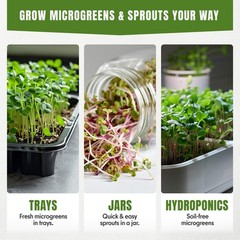 Microgreens & Sprouting Seeds Variety Pack, 10 Varieties, Non-GMO, 12550+ Seeds