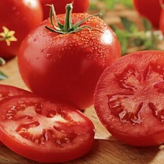 Celebrity Tomato Seeds (F1 Hybrid) | 10 Seeds | Non-GMO | Free Shipping | 1029