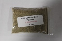1 oz. Wild Lettuce Leaf Powder (Lactuca virosa)