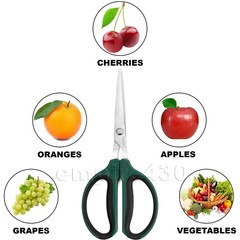 60mm Plant Trimmer Garden Pruning Scissors Stainless Steel Bonsai Shears
