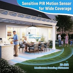 Solar Shed Lights Indoor Outdoor Motion Sensor Pendant Light Daytime Available