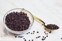 Organic Way Dried Elderberry Whole – Organic, Kosher & USDA Certified