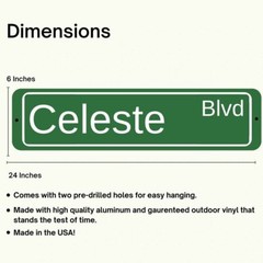 Custom Personalized Aluminum Street Sign Outdoor Indoor Great Gift for Everyone
