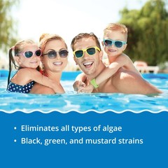 In The Swim Algaecide 50 For Swimming Pools – Green, Black, and Yellow Algae