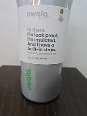 Owala Freesip Stainless Steel Water Bottle / 16oz / Color: Opal Dream