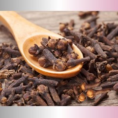 Ground Cloves 16 oz Premium Spice for Baking Cooking & Beverages Badia