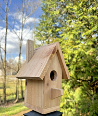 Handmade Cedar Birdhouse w/ Chimney Rustic Outdoor Wren Chickadee Nest Box