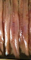 Big Anchovies FLAT Fillets in Oil 793gm “28 OZ” Anchovy TASTY! FREE SHIP! SAVE A